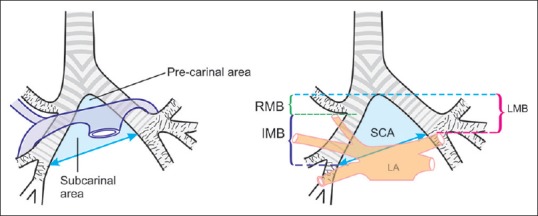 Figure 37