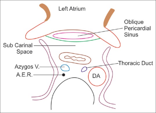 Figure 38