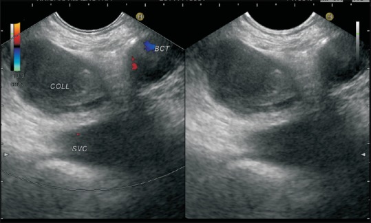 Figure 24