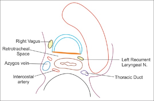 Figure 36