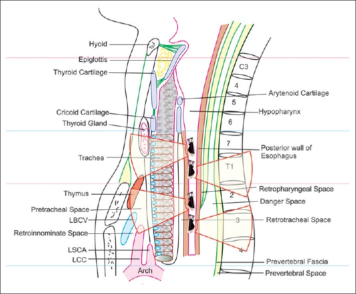 Figure 35