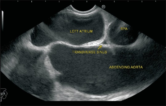 Figure 49