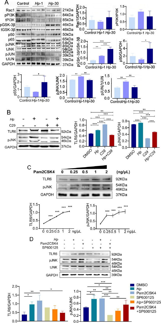 Fig. 3