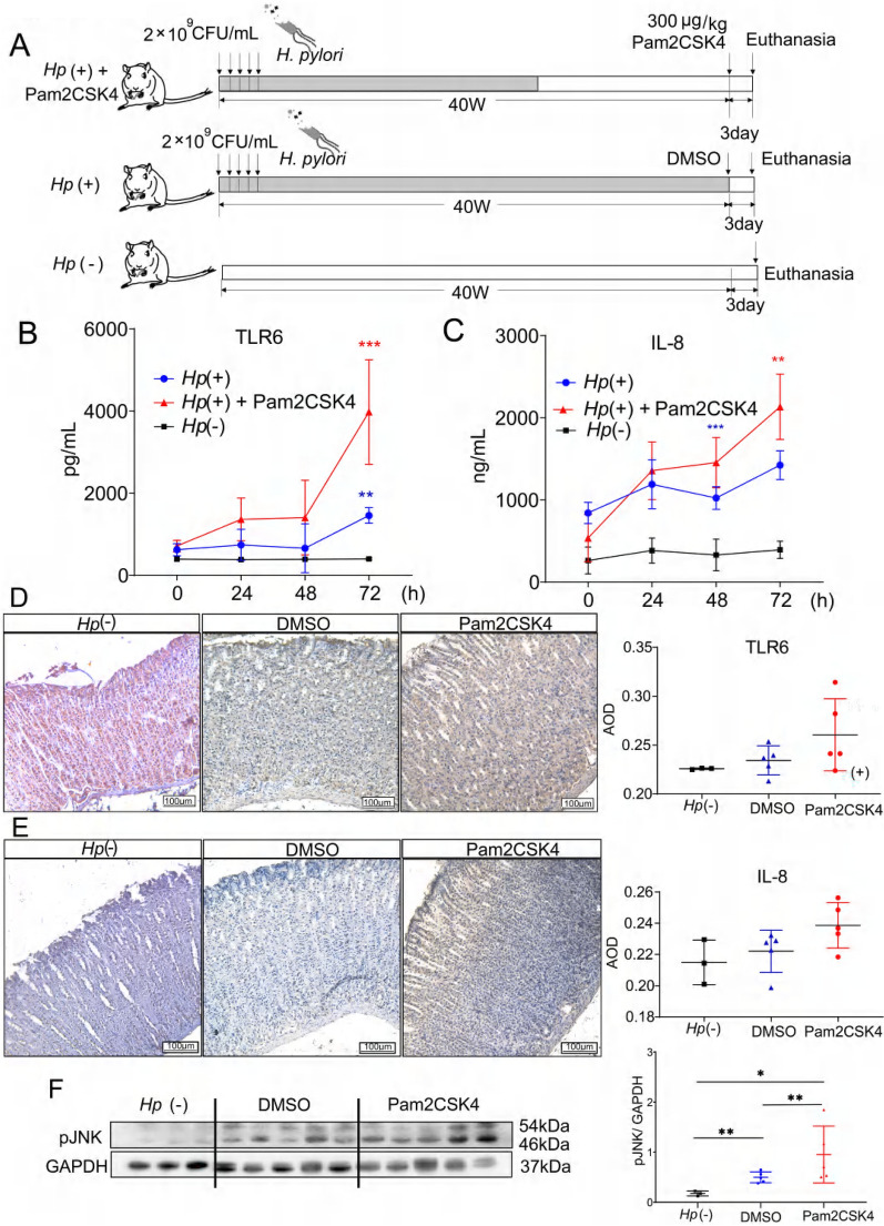 Fig. 6