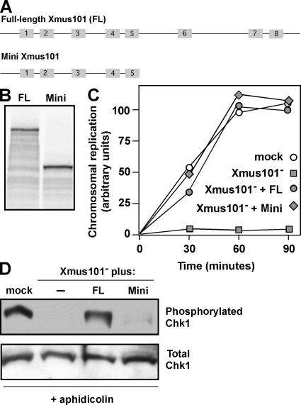 Figure 4.