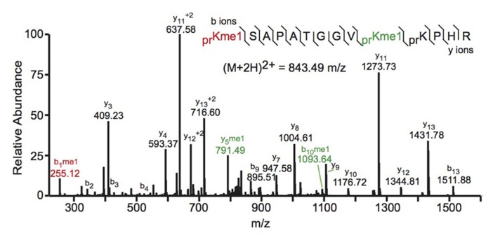 FIGURE 2