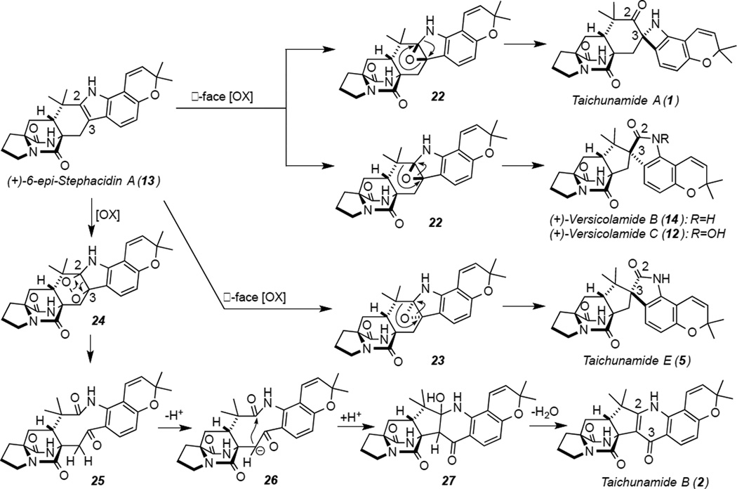 Scheme 2