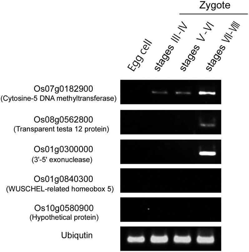 Figure 9.