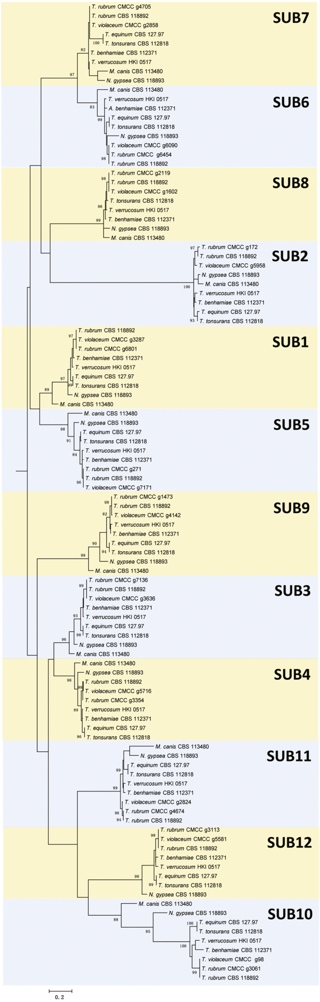 Fig. 7