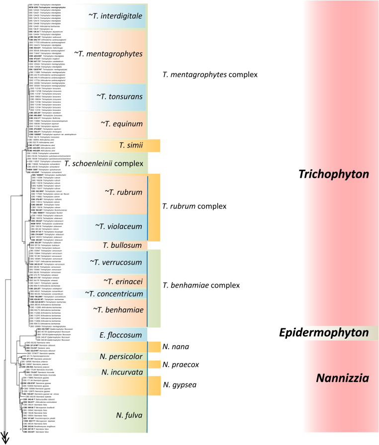 Fig. 2