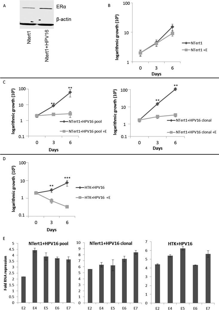 FIG 3