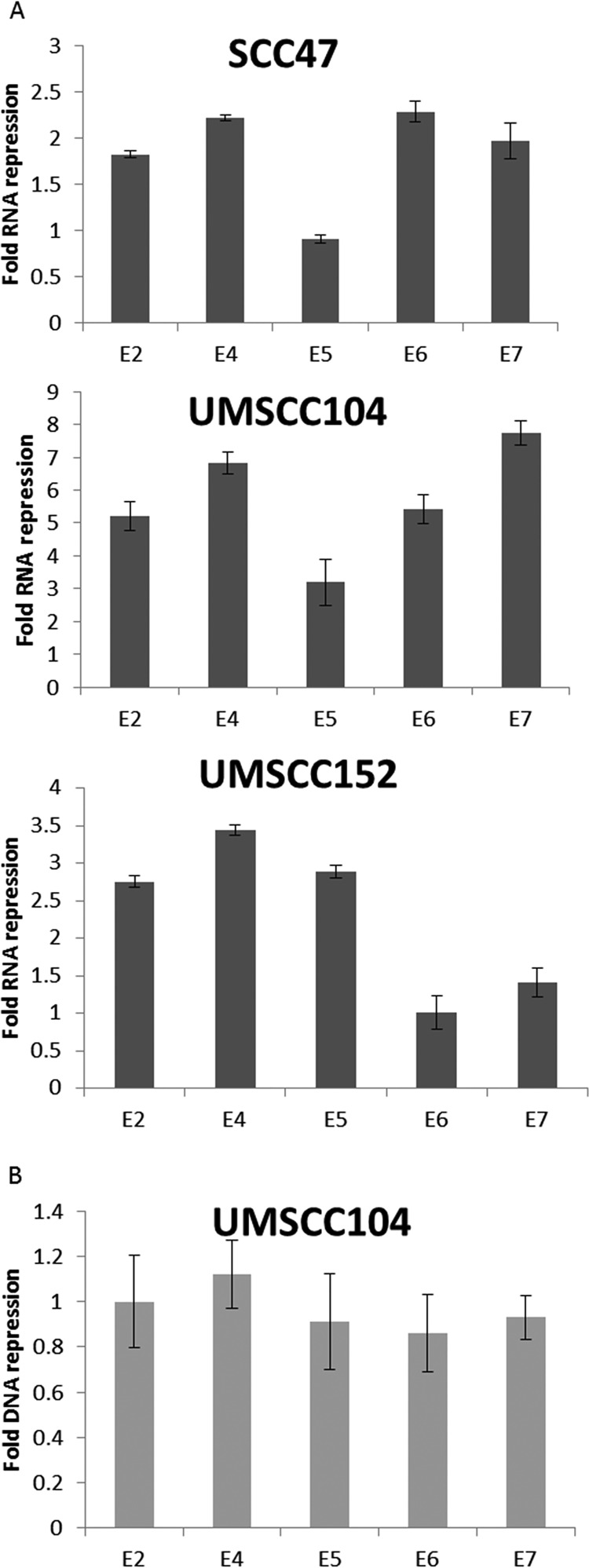 FIG 2