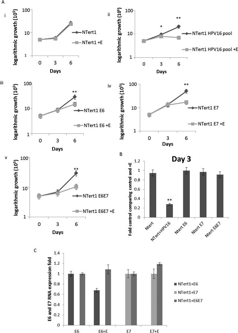 FIG 6