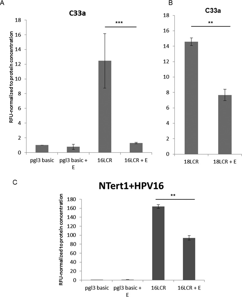 FIG 4