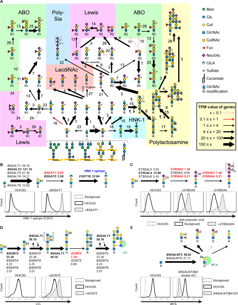 Figure 3.