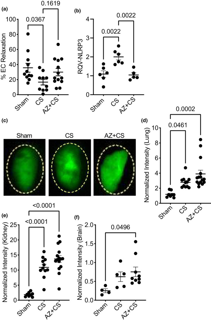 FIGURE 2