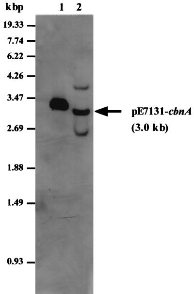 FIG. 9.