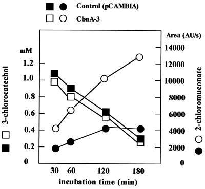 FIG. 7.