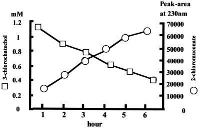 FIG. 5.