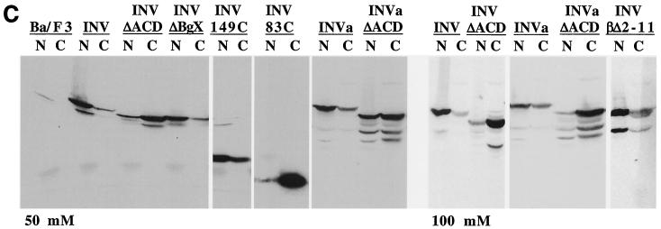 FIG. 7.