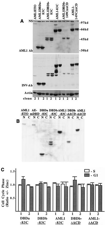 FIG. 10.