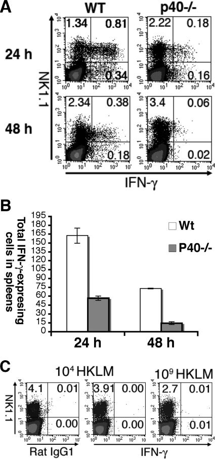 FIG. 5.