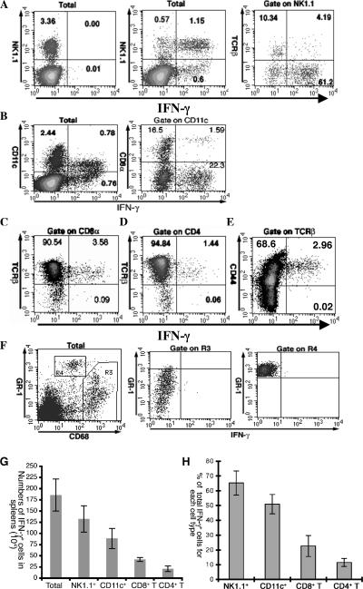 FIG. 1.