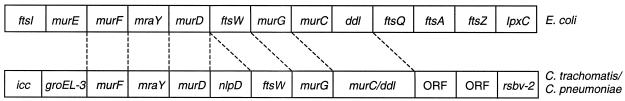 FIG. 5.