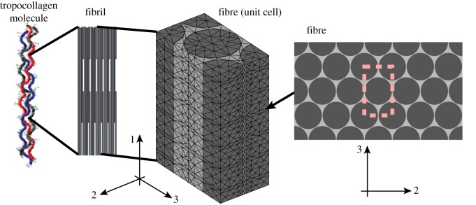 Figure 4.