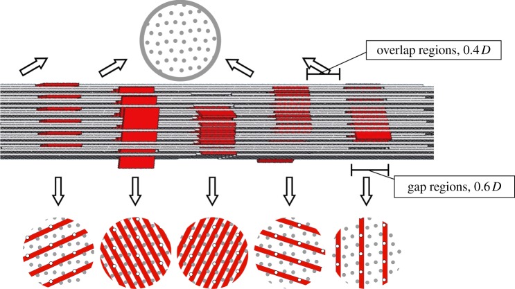 Figure 1.