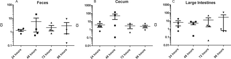 Fig 6