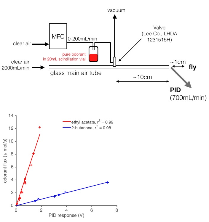 Figure 1—figure supplement 1.