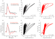 Figure 1—figure supplement 4.