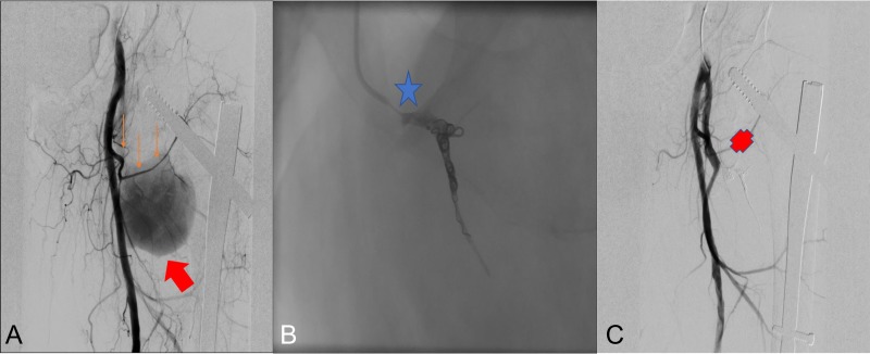 Figure 3: