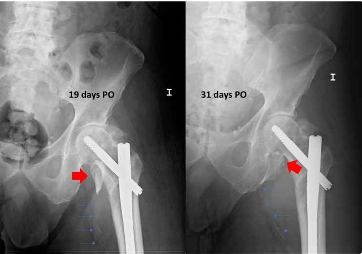 Figure 1: