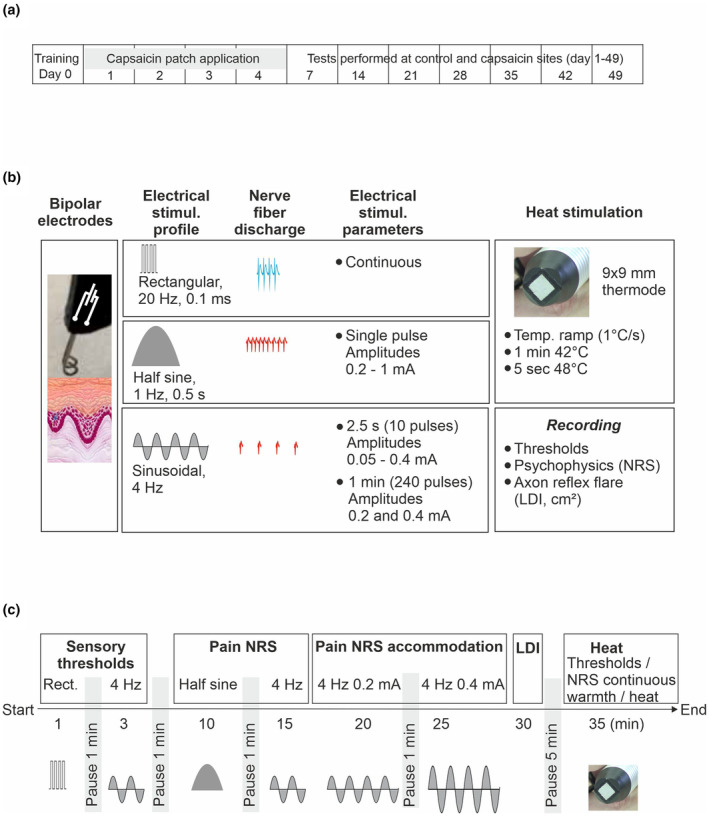 FIGURE 1