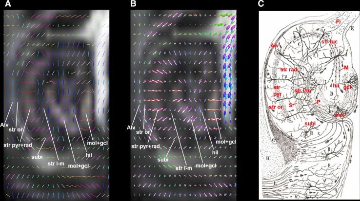 Fig. 4