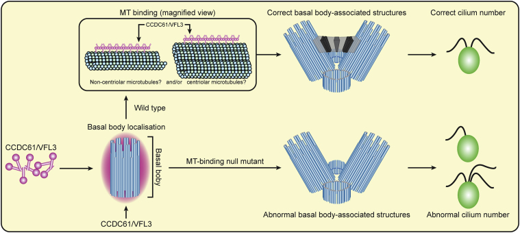 Figure 6