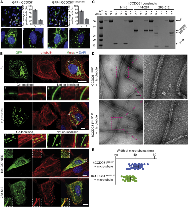 Figure 3