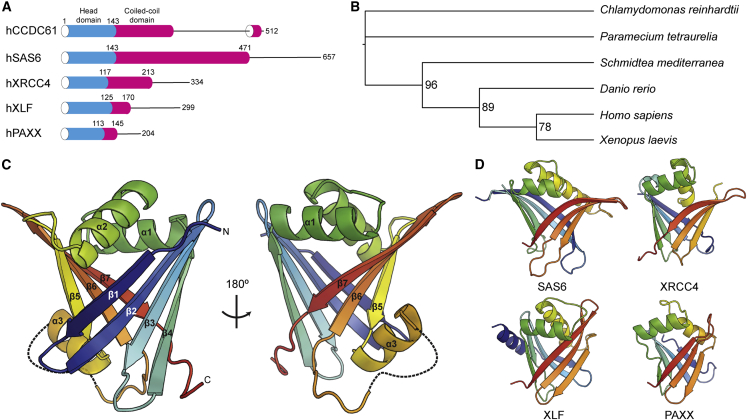 Figure 1