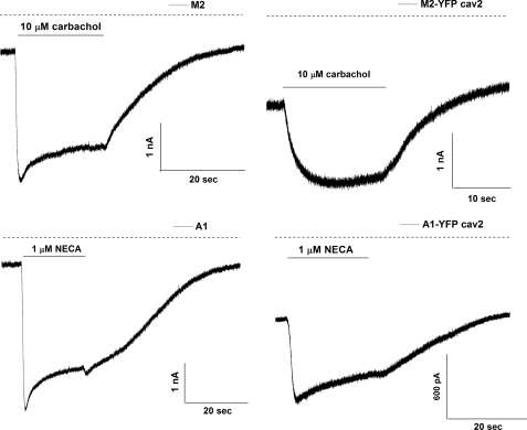 FIGURE 7.