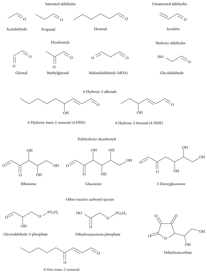 Scheme 5