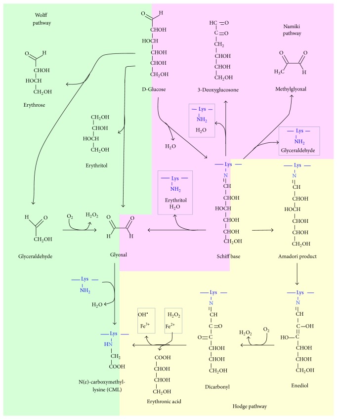 Scheme 6