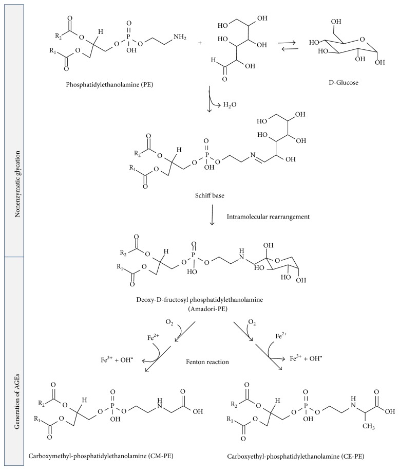 Scheme 7