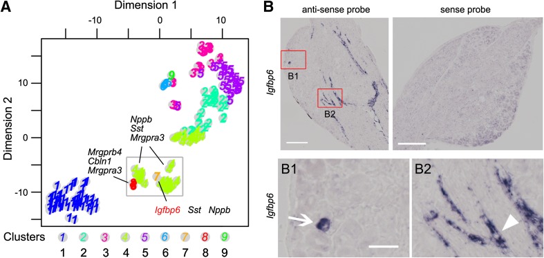 Fig. 2