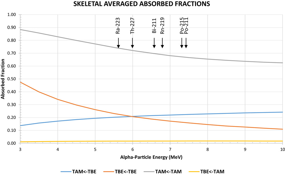 Figure 5 --