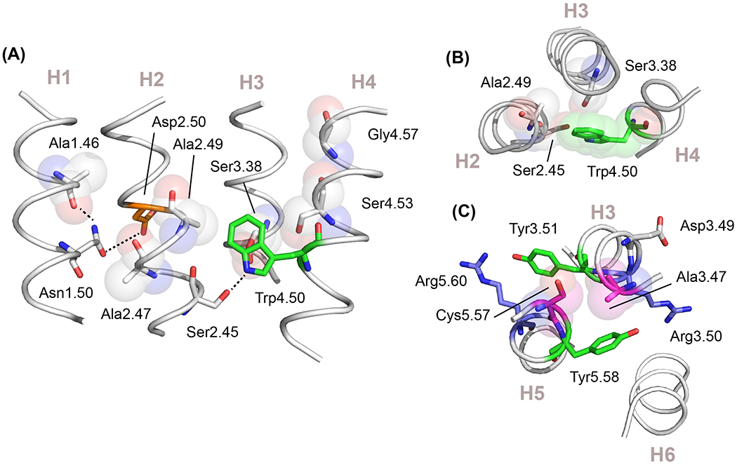 Figure 5.