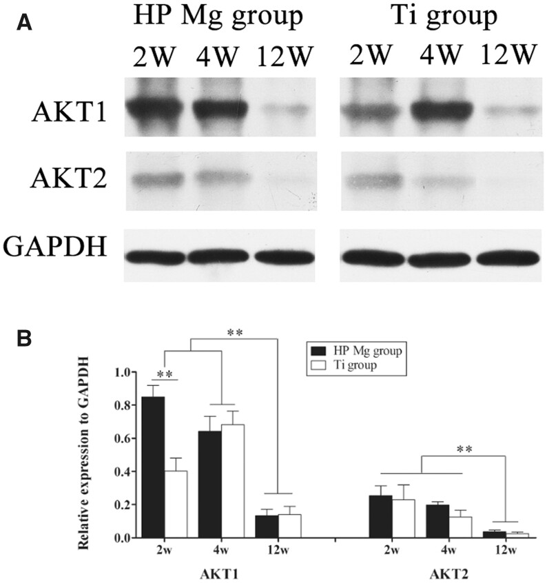 Figure 11.