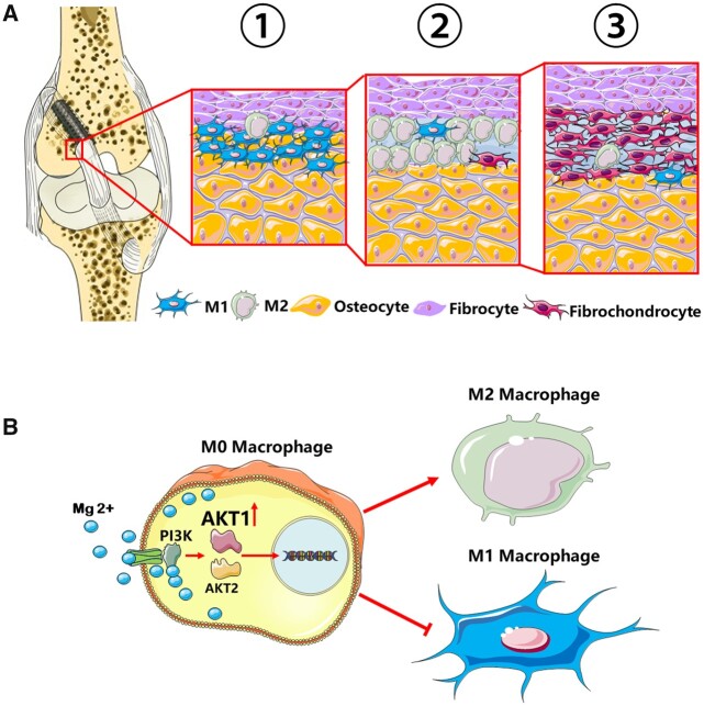 Figure 12.