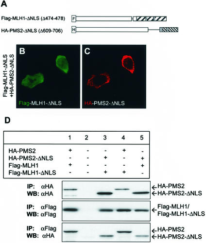 FIG. 7.